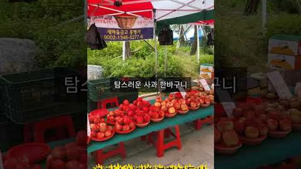 천동 리더스시티 5블록 월요장터로 장보러 오세요~#shorts #천동리더스시티#천동리더스시티5블록#리더스시티5블록 YouTube Shorts 썸네일